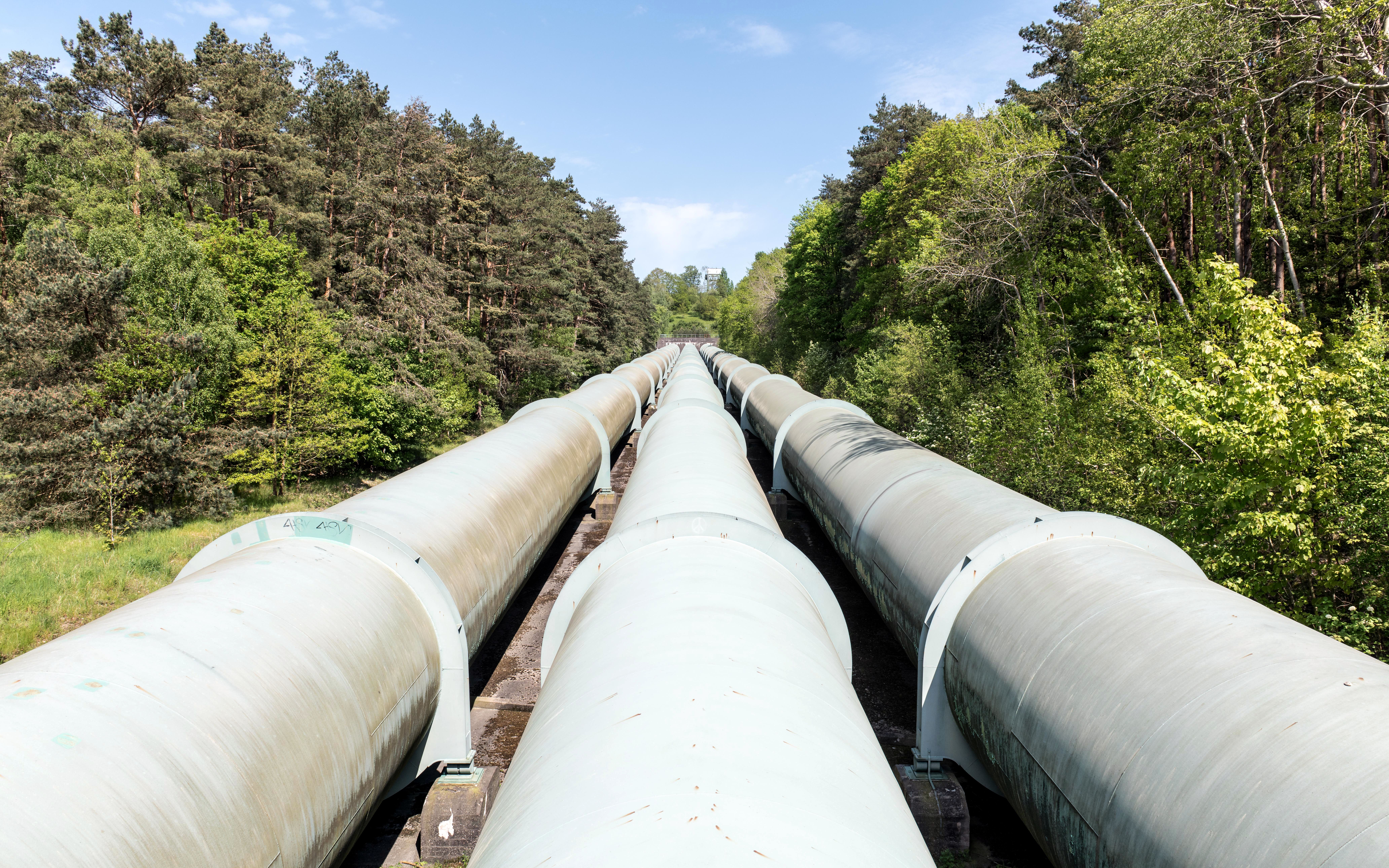 SCO Gas Training: New Entrant & Renewal Courses